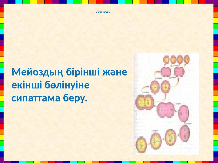 “Жинақтау дағдысы” ІІІ топ. Суреттер сөйлейді. Мейоздың бірінші және екінші бөлінуіне сипаттама беру.