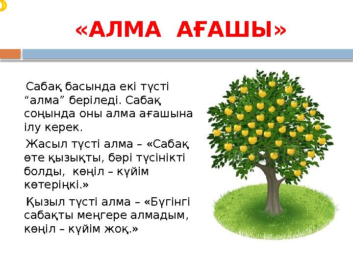 «АЛМА АҒАШЫ» Сабақ басында екі түсті “алма” беріледі. Сабақ соңында оны алма ағашына ілу керек. Жасыл түсті алма