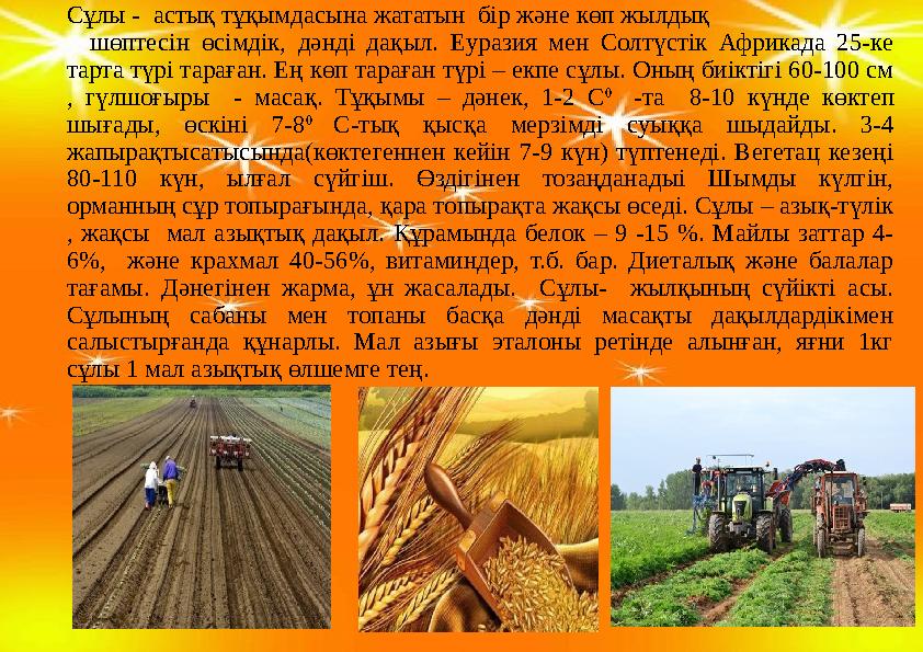 Сұлы - астық тұқымдасына жататын бір және көп жылдық шөптесін өсімдік, дәнді дақыл. Еуразия мен