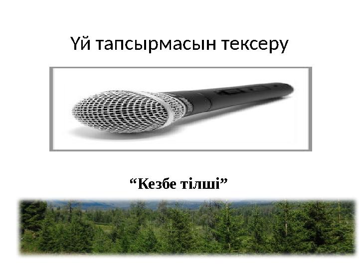 Үй тапсырмасын тексеру “Кезбе тілші”