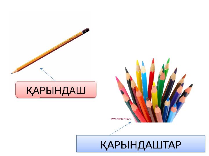 ҚАРЫНДАШТАР ҚАРЫНДАШ