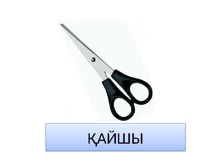 ҚАЙШЫ