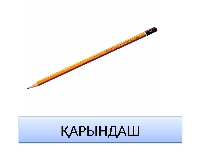 ҚАРЫНДАШ