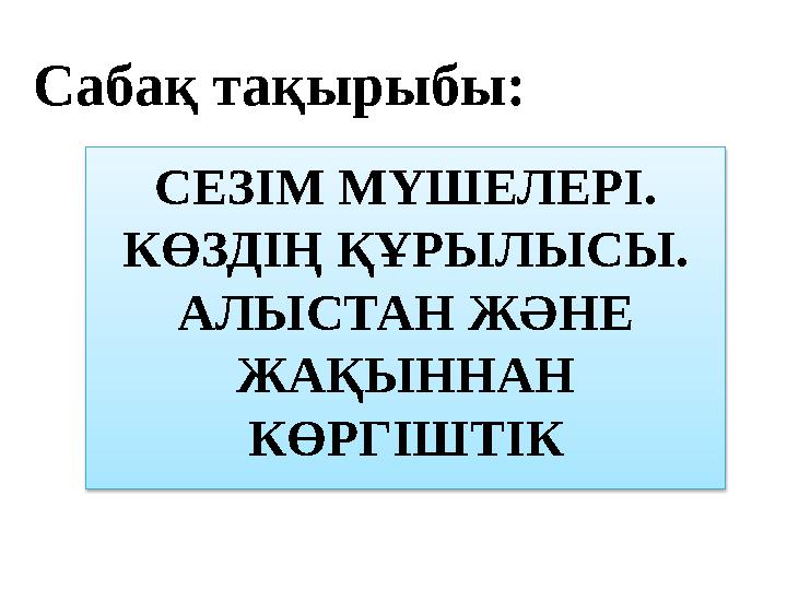 Байланыстағы жыныстық қатынас 24