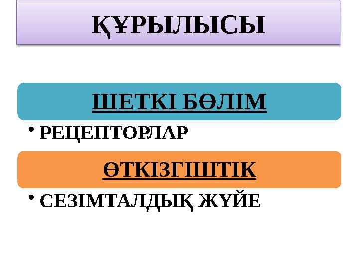 ҚҰРЫЛЫСЫ ШЕТКІ БӨЛІМ •РЕЦЕПТОРЛАР ӨТКІЗГІШТІК •СЕЗІМТАЛДЫҚ ЖҮЙЕ