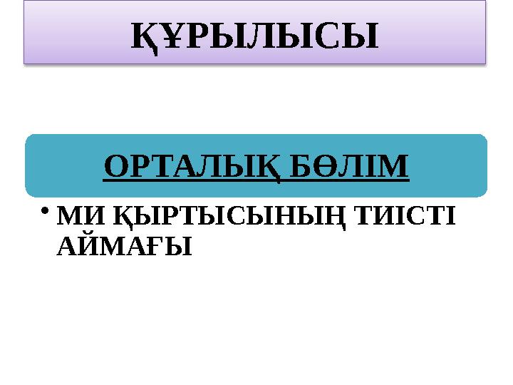 ҚҰРЫЛЫСЫ ОРТАЛЫҚ БӨЛІМ •МИ ҚЫРТЫСЫНЫҢ ТИІСТІ АЙМАҒЫ