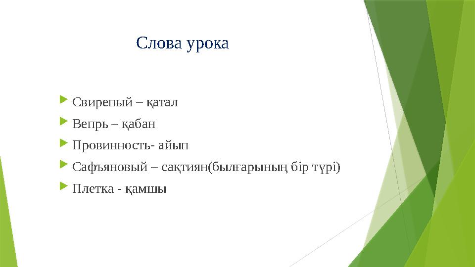 Слова урока Свирепый – қатал Вепрь – қабан Провинность- айып Сафъяновый – сақтиян(былғарының бір түрі) Плет