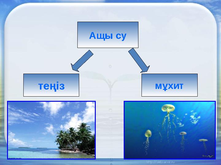 Ащы су теңіз мұхит