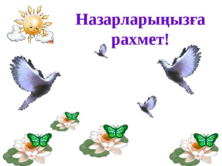 Назарларыңызға рахмет!