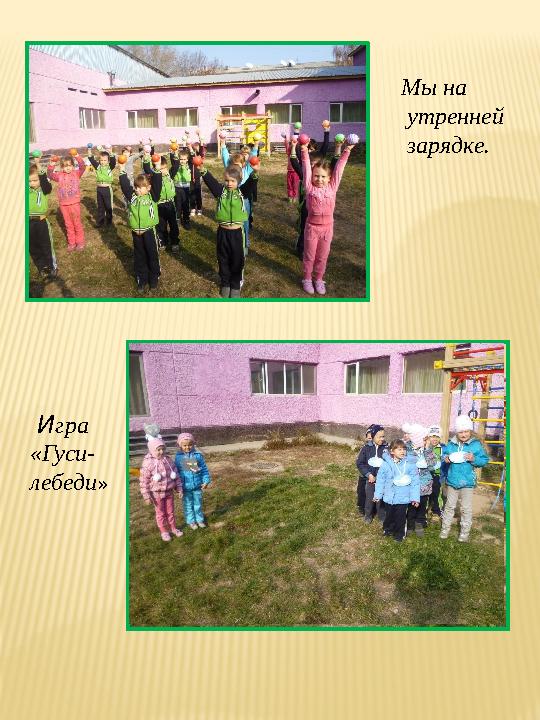 Мы на утренней зарядке. И гра «Гуси- лебеди »