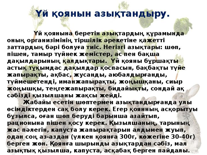 Үй қоянын азықтандыру. Үй қоянына беретін азықтардың құрамында оның организімінің тіршілік әрекетіне қажетті Үй қоянын азықтандыру. Үй қоянына беретін азықтардың құрамында оның организімінің тіршілік әрекетіне қажетті