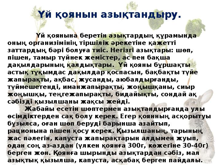 ΙΙ. Қоянның Қазақстанда 3 түрі кездеседі. Орқоян – қоянтәрізділер отрядының өкілі, бұл отрядқа қояннан басқа, шақылдақтар жат