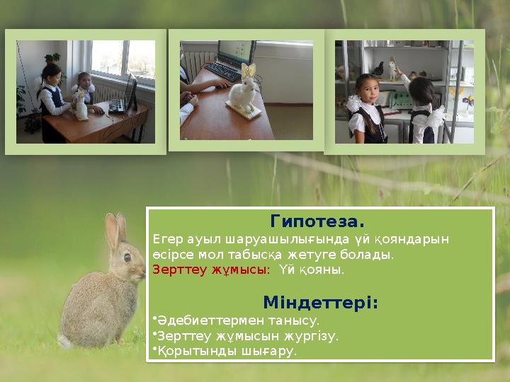 Гипотеза. Егер ауыл шаруашылығында үй қояндарын өсірсе мол табысқа жетуге болады. Зерттеу жұмысы: Үй қояны. Міндеттері: Гипотеза. Егер ауыл шаруашылығында үй қояндарын өсірсе мол табысқа жетуге болады. Зерттеу жұмысы: Үй қояны. Міндеттері: