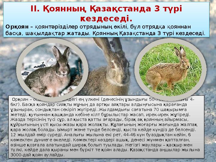 ΙΙ. Қоянның Қазақстанда 3 түрі кездеседі. Орқоян – қоянтәрізділер отрядының өкілі, бұл отрядқа қояннан басқа, шақылдақтар жа ΙΙ. Қоянның Қазақстанда 3 түрі кездеседі. Орқоян – қоянтәрізділер отрядының өкілі, бұл отрядқа қояннан басқа, шақылдақтар жа