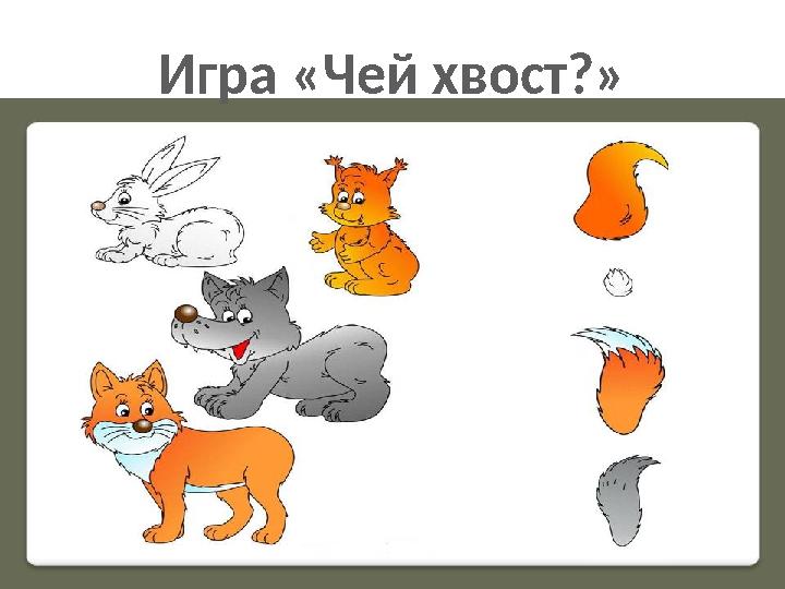 Игра «Чей хвост?»