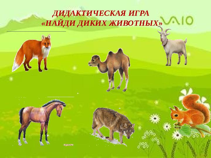 ДИДАКТИЧЕСКАЯ ИГРА «НАЙДИ ДИКИХ ЖИВОТНЫХ »