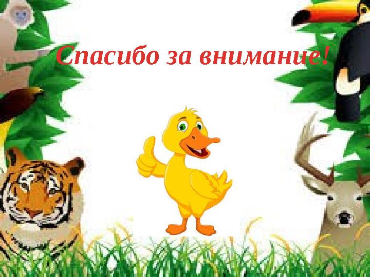 ! Спасибо за внимание!