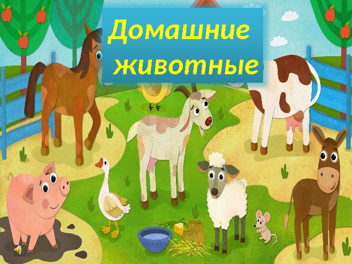 Домашние животные