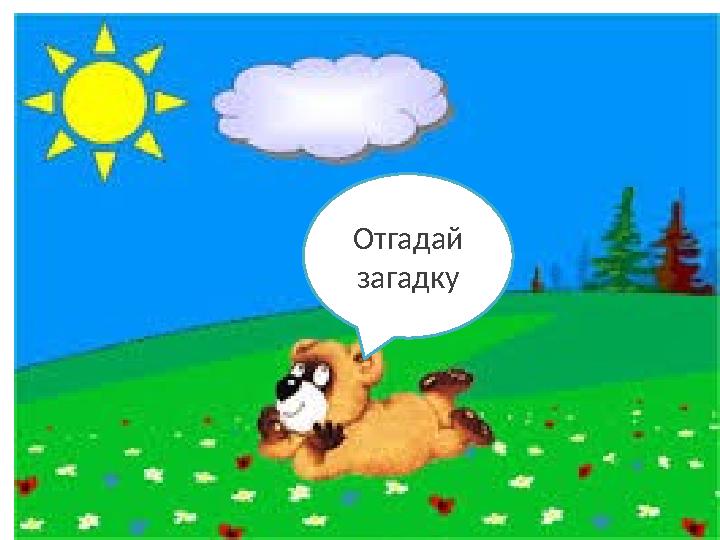 Отгадай загадку