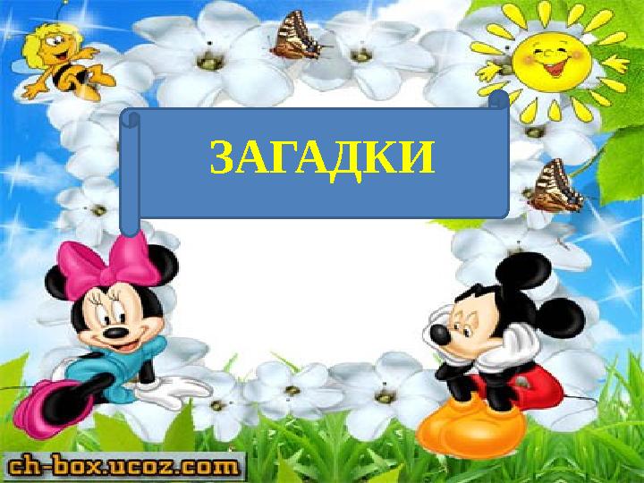 ЗАГАДКИ