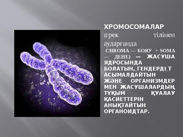 Жалаңаш мулат фотосуреттері