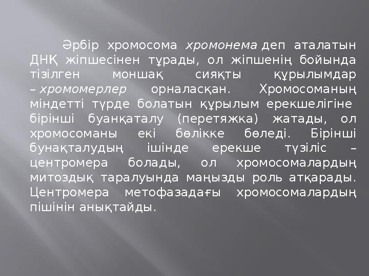 Әрбір хромосома хромонема деп аталатын ДНҚ жіпшесінен тұрады, ол жіпшенің бойында тізілген моншақ сияқты құрылымдар – хромом