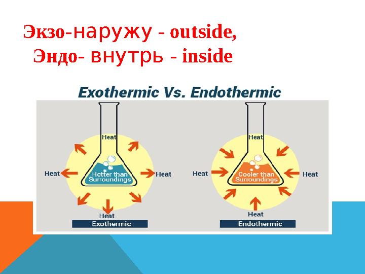 Экзо- наружу - out side , Эндо- внутрь - insi de