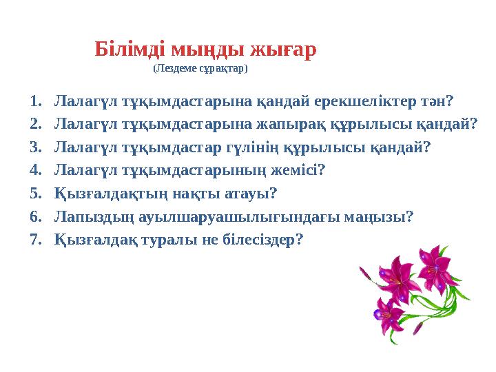 1. Лалагүл тұқымдастарына қандай ерекшеліктер тән? 2. Лалагүл тұқымдастарына жапырақ құрылысы қандай? 3. Лалагүл тұқымдастар гүл