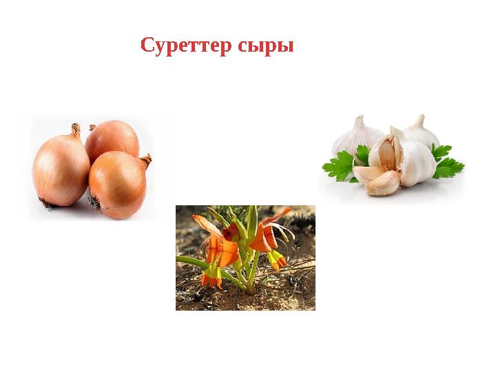 Суреттер сыры