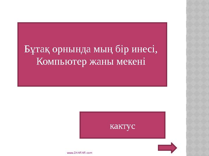 www.ZHARAR.com кактусБұтақ орнында мың бір инесі, Компьютер жаны мекені