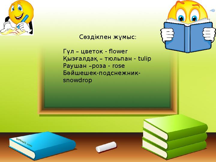Сөздікпен жұмыс: Гүл – цветок - flower Қызғалдақ – тюльпан - tulip Раушан –роза - rose Бәйшешек-подснежник- snowdrop