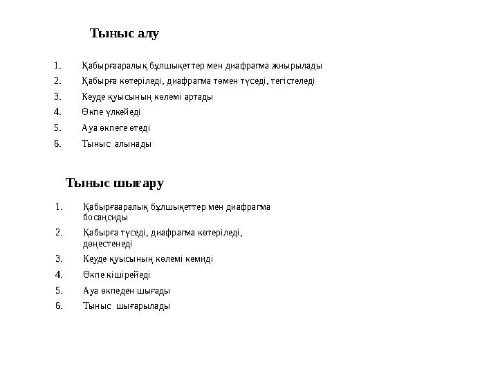 1. Қабырғааралық бұлшықеттер мен диафрагма жиырылады 2. Қабырға көтеріледі, диафрагма төмен түседі, тегістеледі 3. Кеуде қуысыны