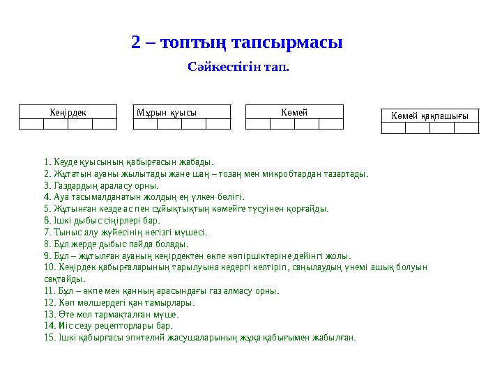 2 – топтың тапсырмасы Кеңірдек Мұрын қуысы Көмей Көмей қақпашығы 1. Кеуде қуысының қабырғасын