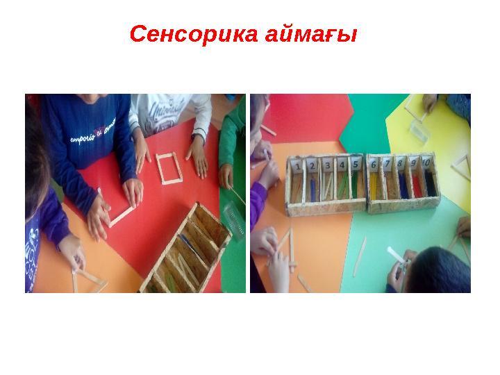 Сенсорика аймағы
