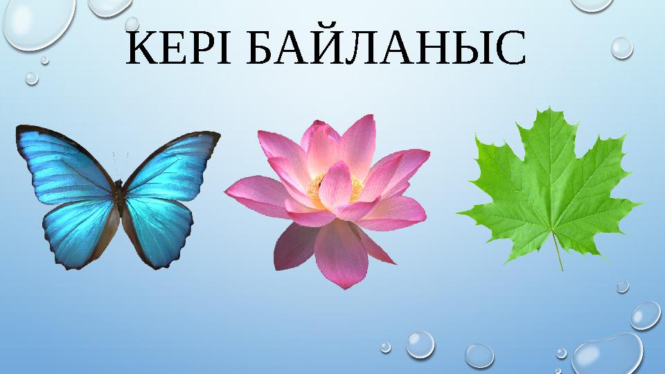 КЕРІ БАЙЛАНЫС