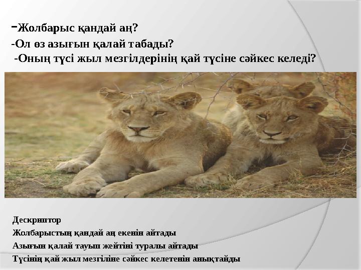 -Жолбарыс қандай аң? -Ол өз азығын қалай табады? -Оның түсі жыл мезгілдерінің қай түсіне сәйкес келеді? Дескриптор Жолбары