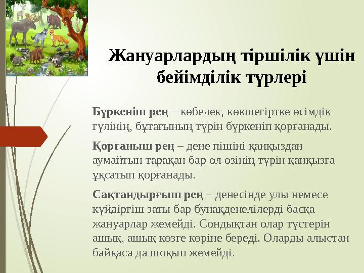 Жануарлардың тіршілік үшін бейімділік түрлері Бүркеніш рең – көбелек, көкшегіртке өсімдік гүлінің, бұтағының түрі