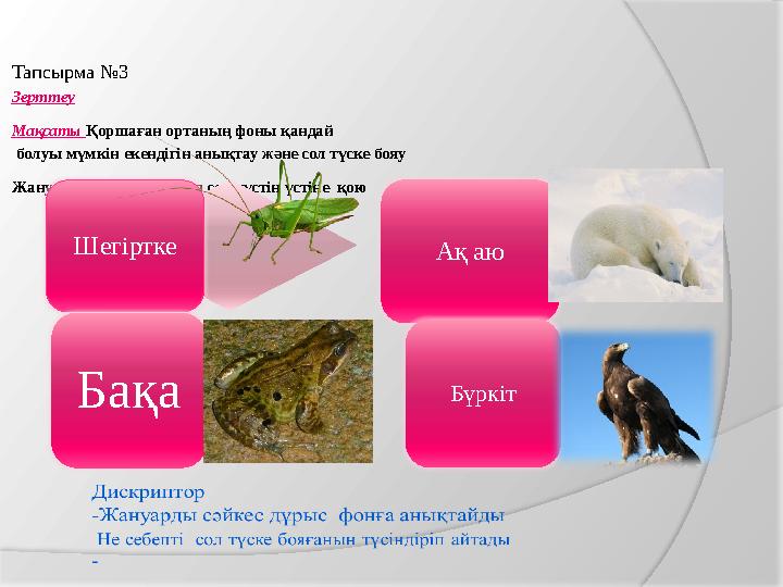 Тапсырма №3 Зерттеу Мақсаты Қоршаған ортаның фоны қандай болуы мүмкін екендігін анықтау және сол түске бояу Жануарды сә