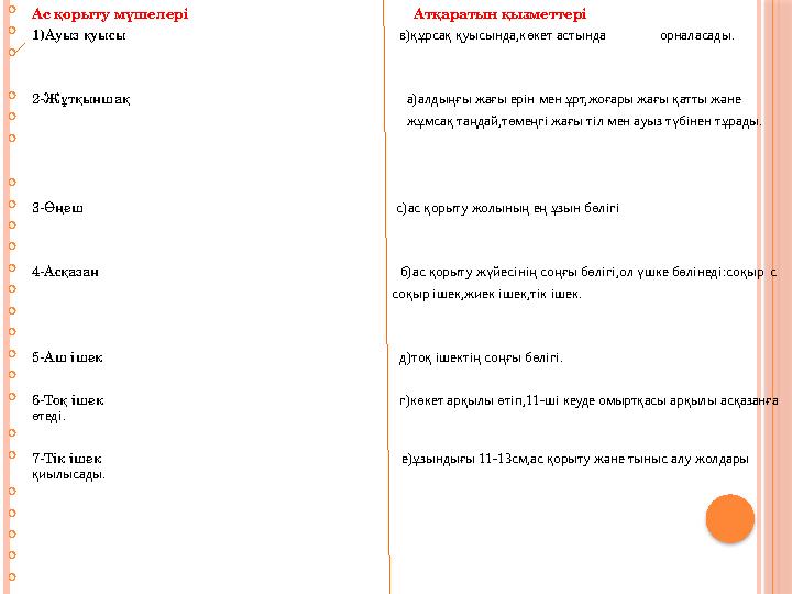  Ас қорыту мүшелері Атқаратын қызметтері  1)Ауыз қуысы