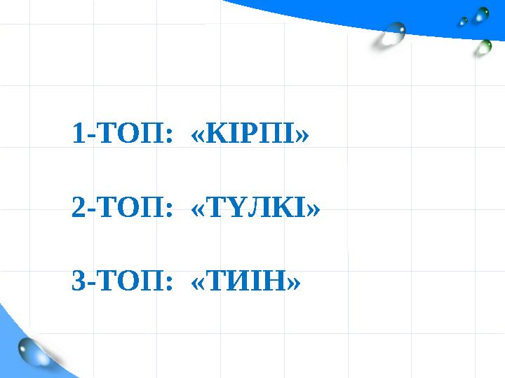 1-ТОП: «КІРПІ» 2-ТОП: «ТҮЛКІ» 3-ТОП: «ТИІН»