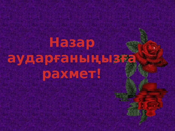 Назар аударғаныңызға рахмет!