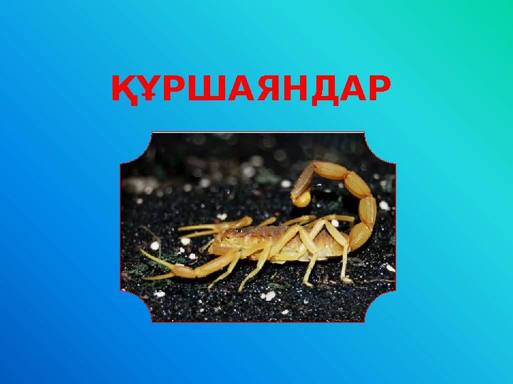 ҚҰРШАЯНДАР