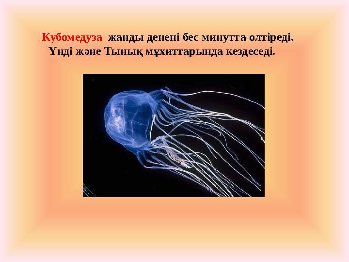 Кубомедуза жанды денені бес минутта өлтіреді. Үнді және Тынық мұхиттарында кездеседі.