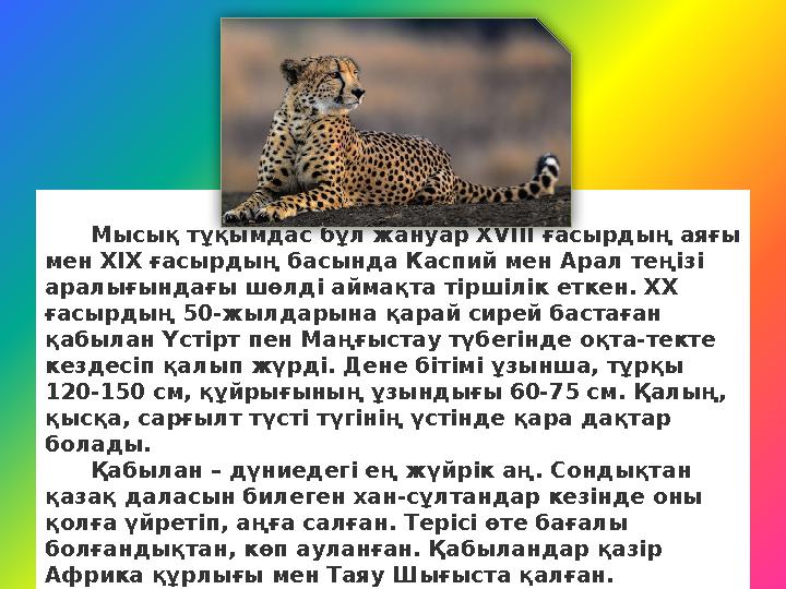 Қабылан (гепард) Мысық тұқымдас бұл жануар XVIII ғасырдың аяғы мен XIX ғасырдың басында Каспий мен Арал теңізі аралығын