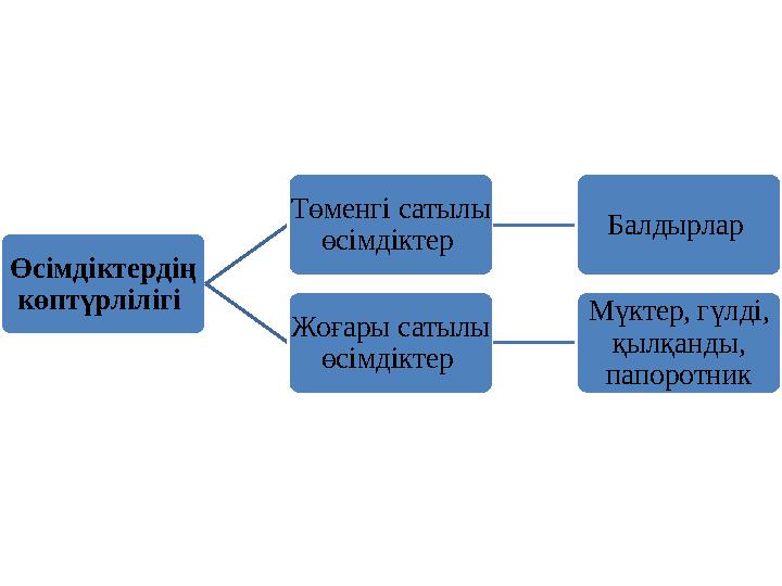 Өсімдіктердің көптүрлілігі Төменгі сатылы өсімдіктер Балдырлар Жоғары сатылы өсімдіктер Мүктер, гүлді, қылқанды, папор