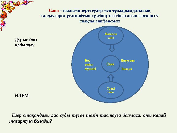 Бес Интуиция сезім мүшесі ЭмоцияЖоғарғы сана Сана Түпкі са