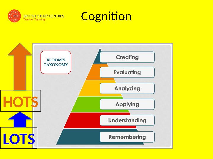 Cognition LOTSHOTS