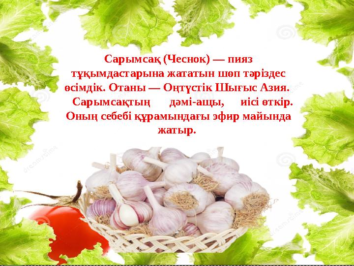 Жараға пайдасы. Тұнбаны жараға жағып, терінің зақымданған жерін сүртсе де артық етпейді. Сарымсақ – теріге сыздауық, сүйел,