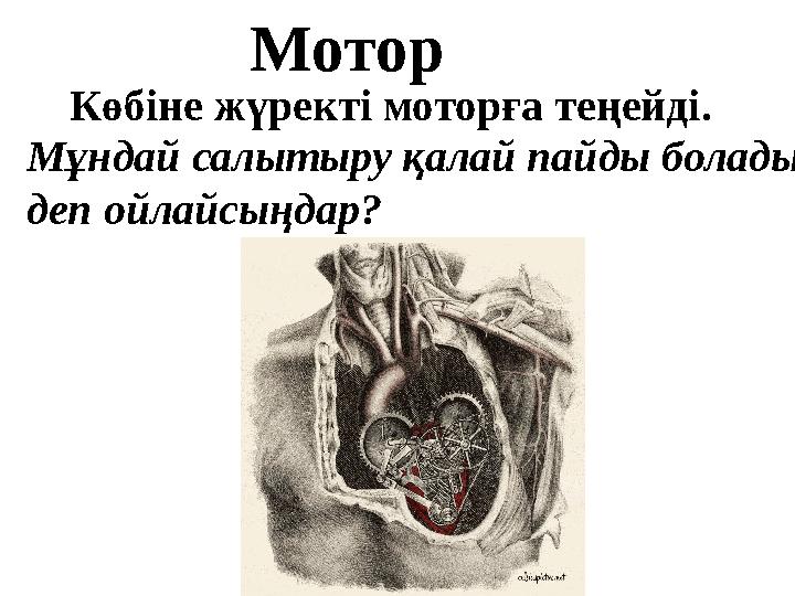 Мотор Көбіне жүректі моторға теңейді. Мұндай салытыру қалай пайды болады деп ойлайсыңдар?