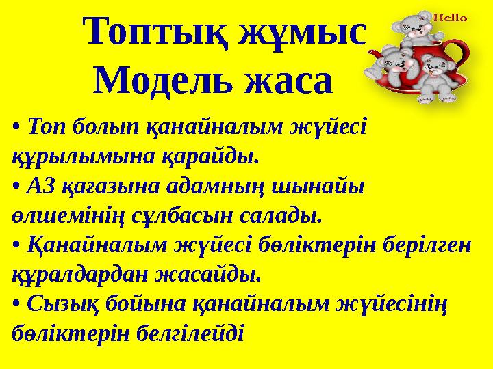 Топтық жұмыс Модель жаса • Топ болып қанайналым жүйесі құрылымына қарайды. • А3 қағазына адамның шынайы өлшемінің сұлбасы